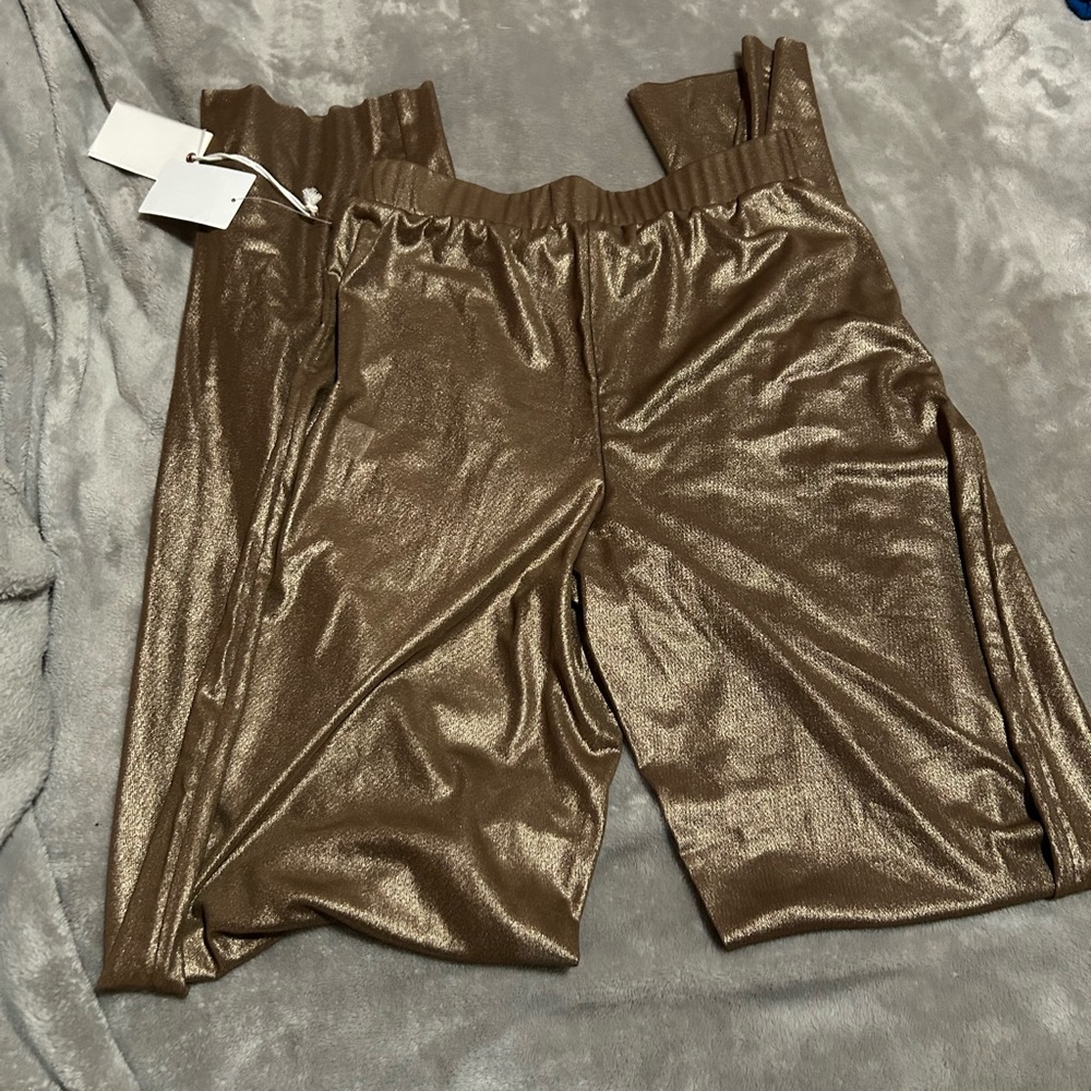 Good American Metallic Bronze wide leg sheer Pants